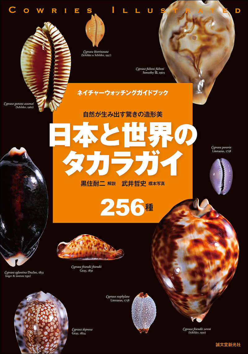 日本と世界のタカラガイ | 株式会社誠文堂新光社