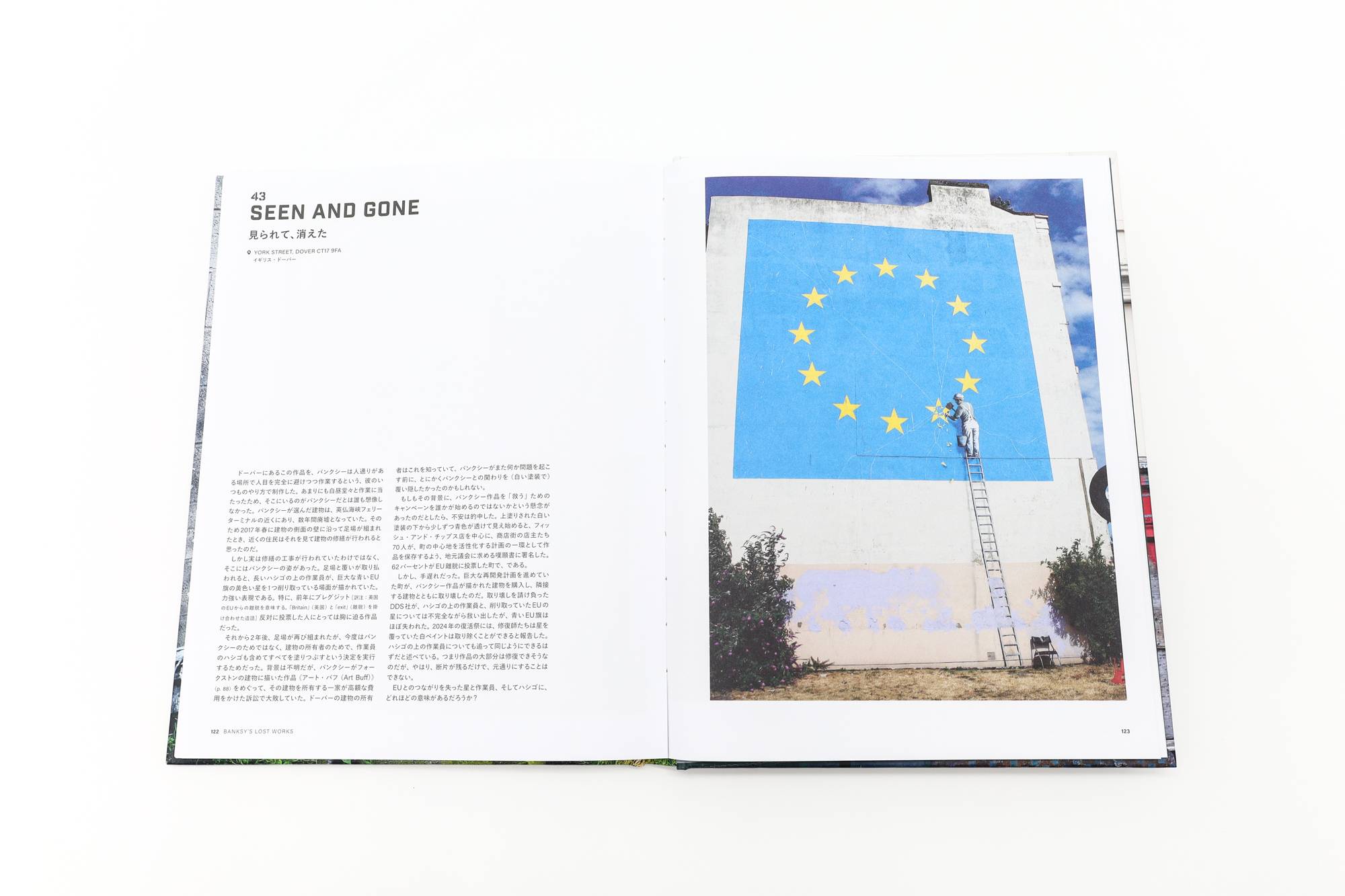 失われたバンクシー あの作品は、なぜ消えたのか｜青幻舎 SEIGENSHA