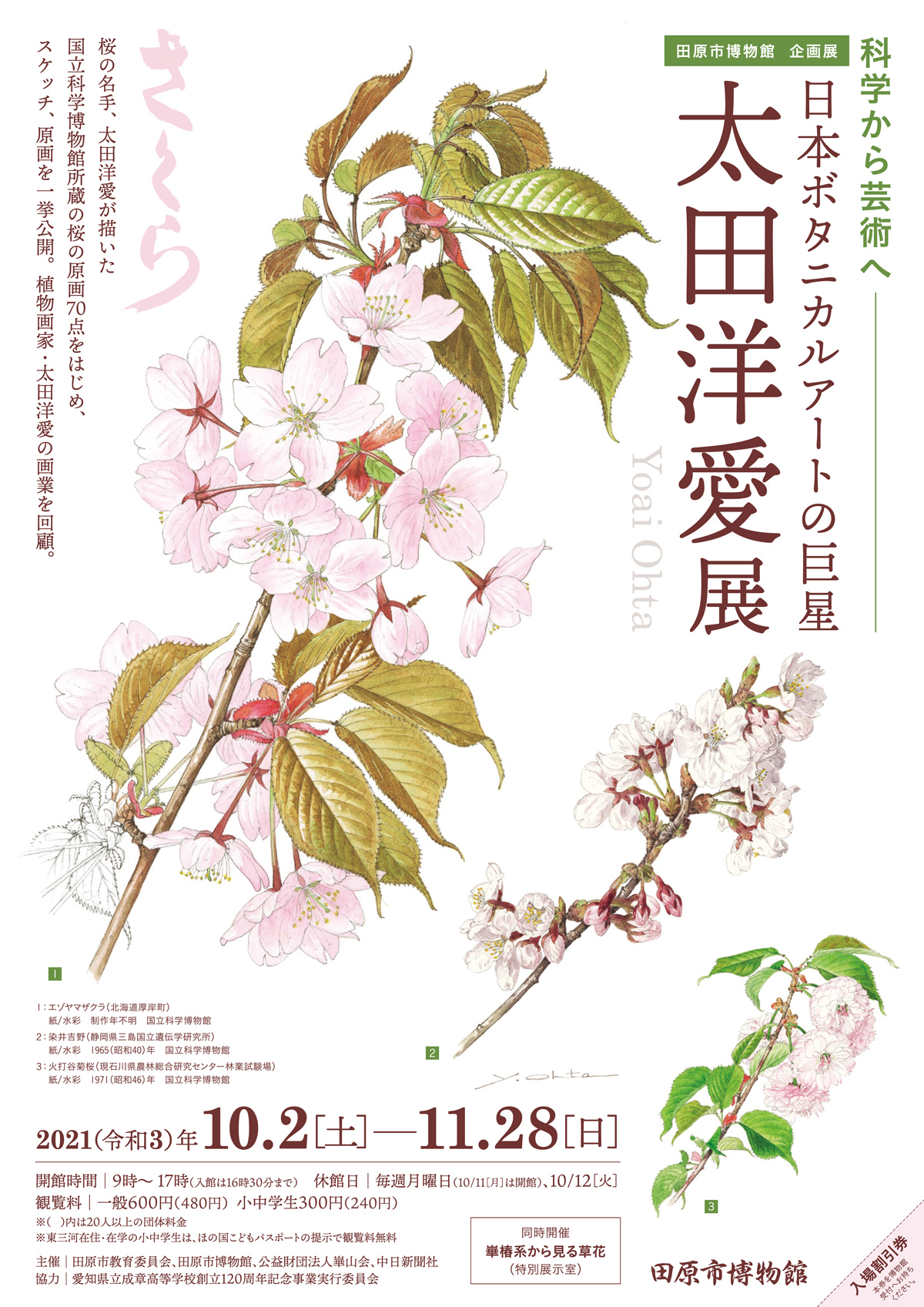 田原市博物館企画展「日本ボタニカルアートの巨星 太田洋愛展」の開催