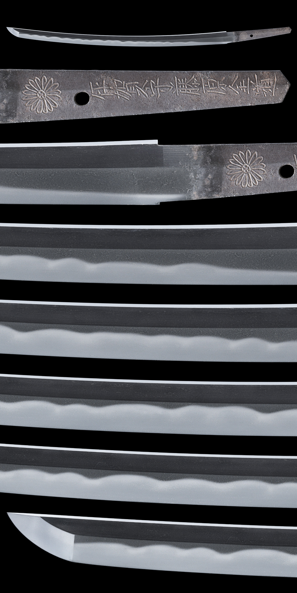 脇差 （菊紋）伊賀守藤原金道（三代） 附 拵(WA-100323)｜刀・日本刀の