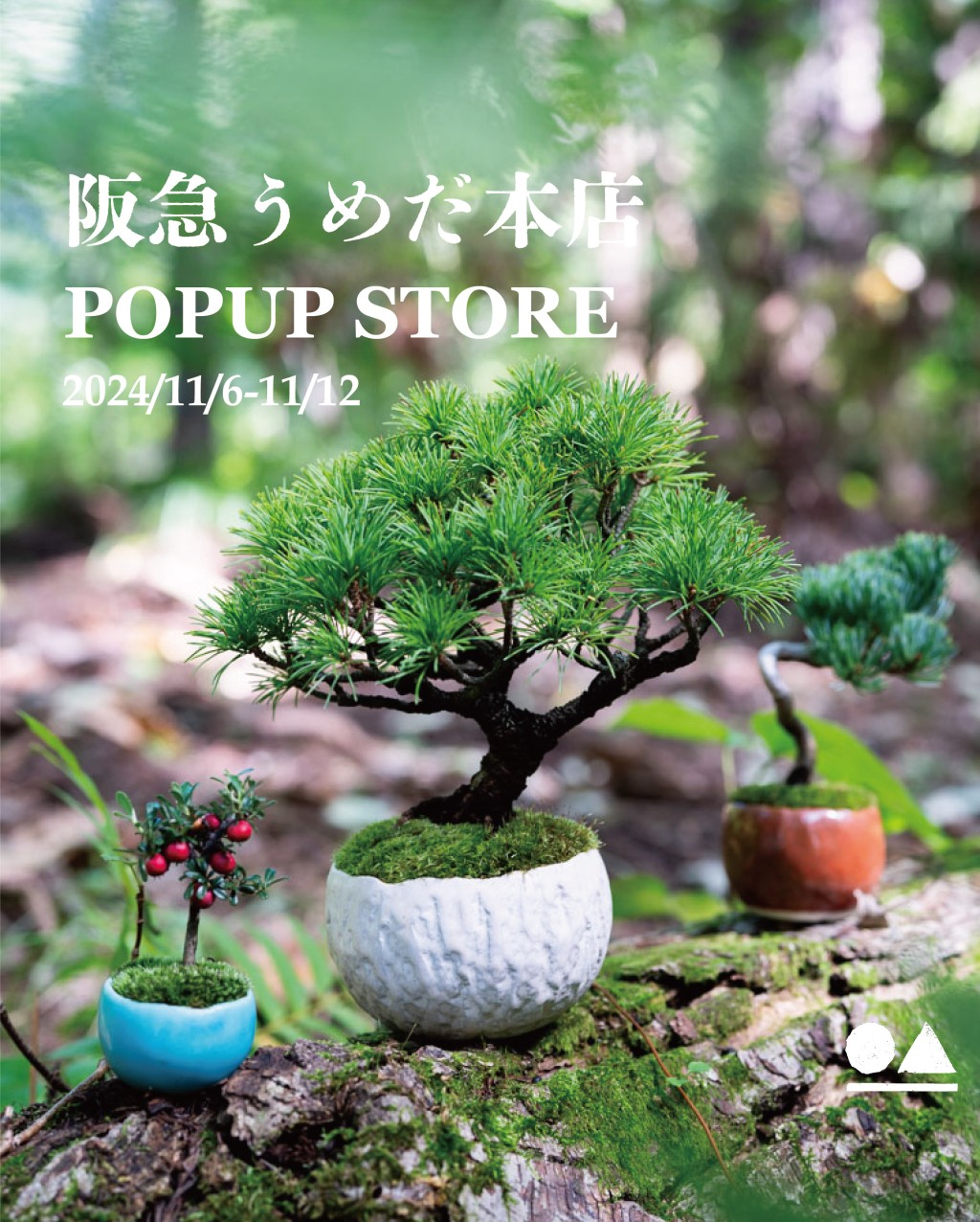 阪急うめだ本店POPUP・ワークショップの開催｜石木花｜SEKIBOKKA｜盆栽