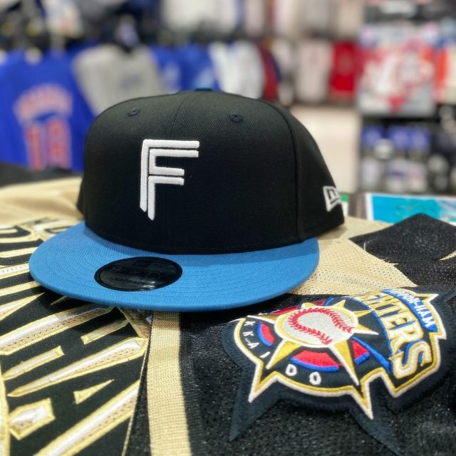 エスコンフィールドでの観戦におすすめ!!北海道日本ハムファイターズの