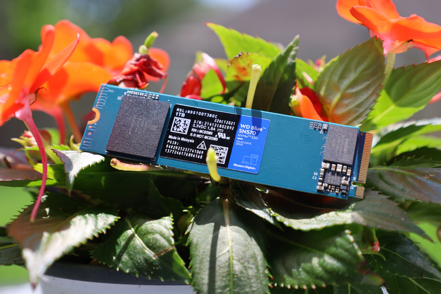 WD Blue SN570 1TB NVMe SSD Review