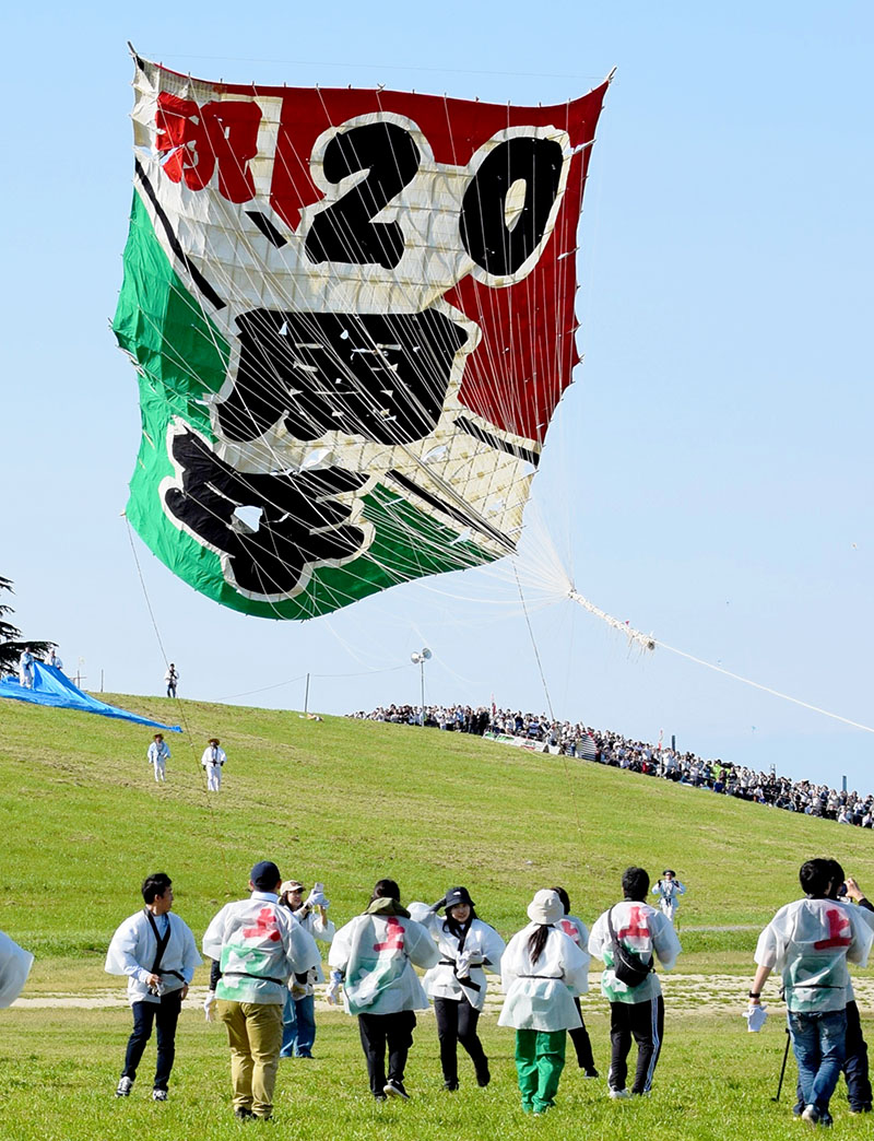 日本一の大きさ“ふわり” 埼玉・春日部で伝統の「大凧あげ祭り」 河川敷