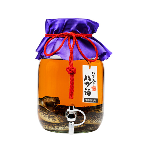 南都億万長蛇 ハブ入り酒 35度 / 800ml - さきたりや - 南都酒造所