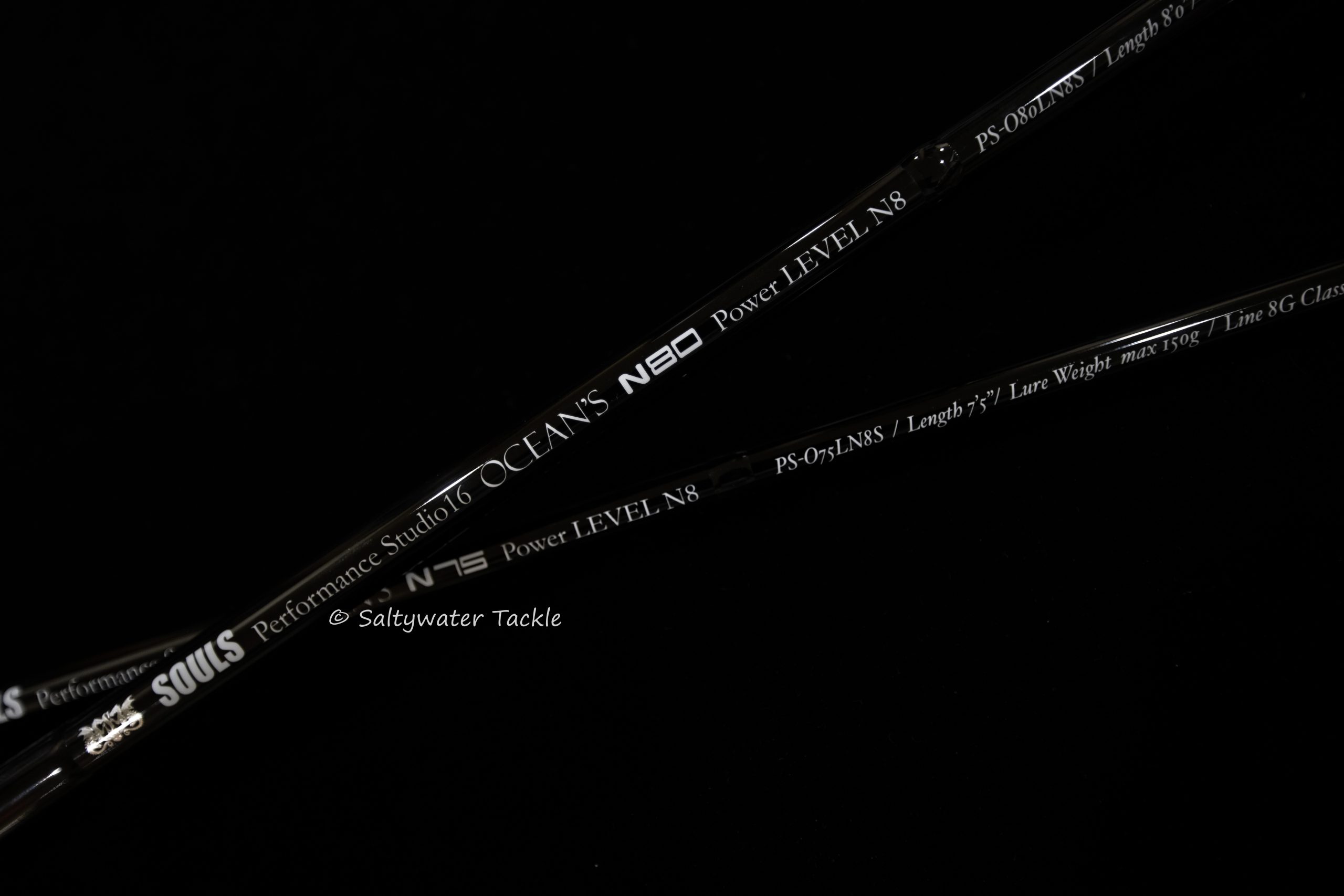 Souls Performance Studio 16 Ocean's Level N Class - Saltywater