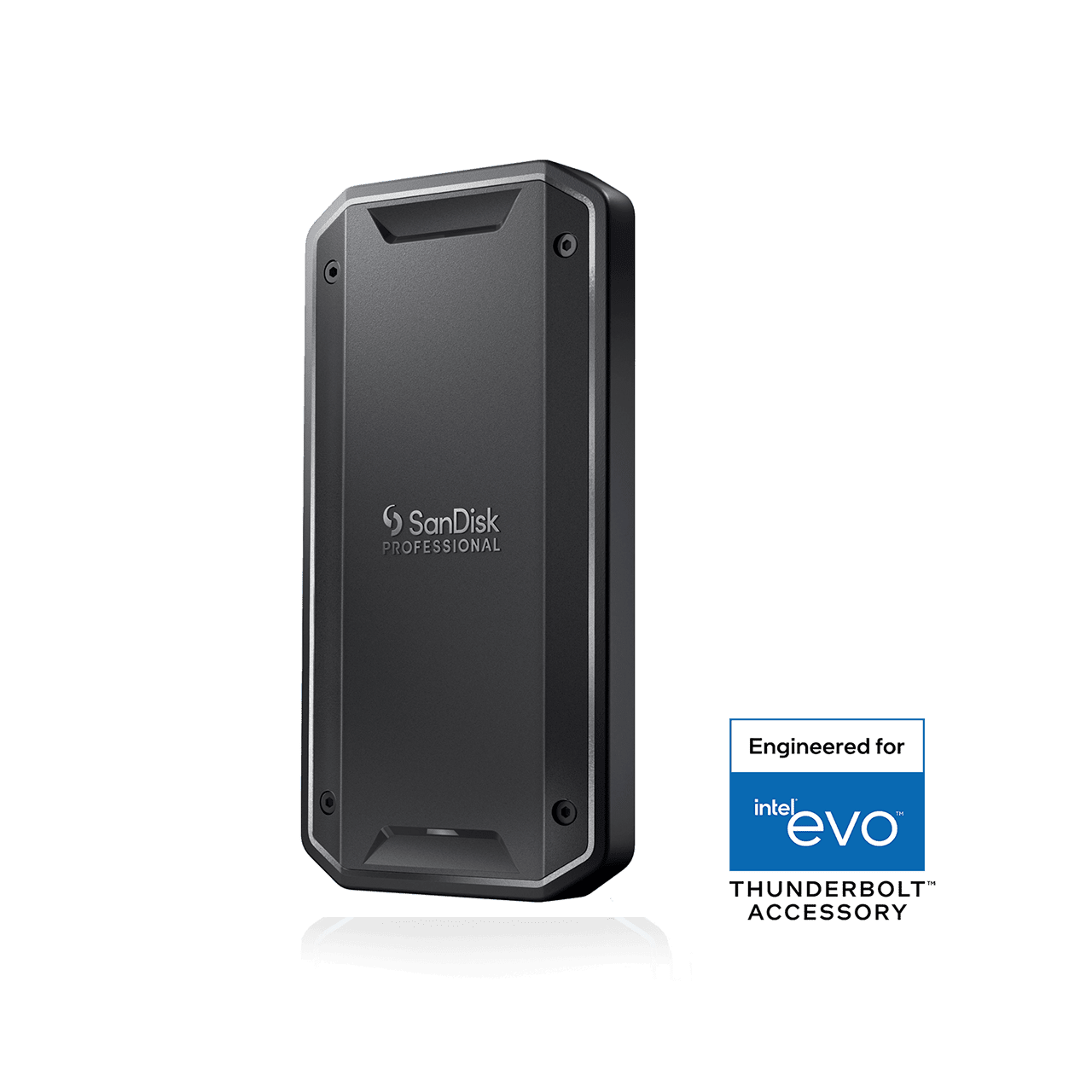 4 TB SanDisk Professional PRO-G40 SSD (exFAT) | Sandisk