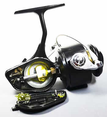 ミッチェル・小・中型・アソート