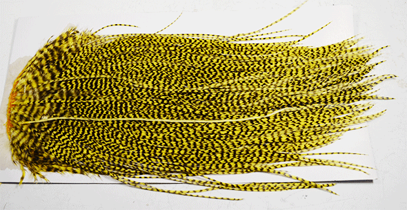 ホフマン・ハックル