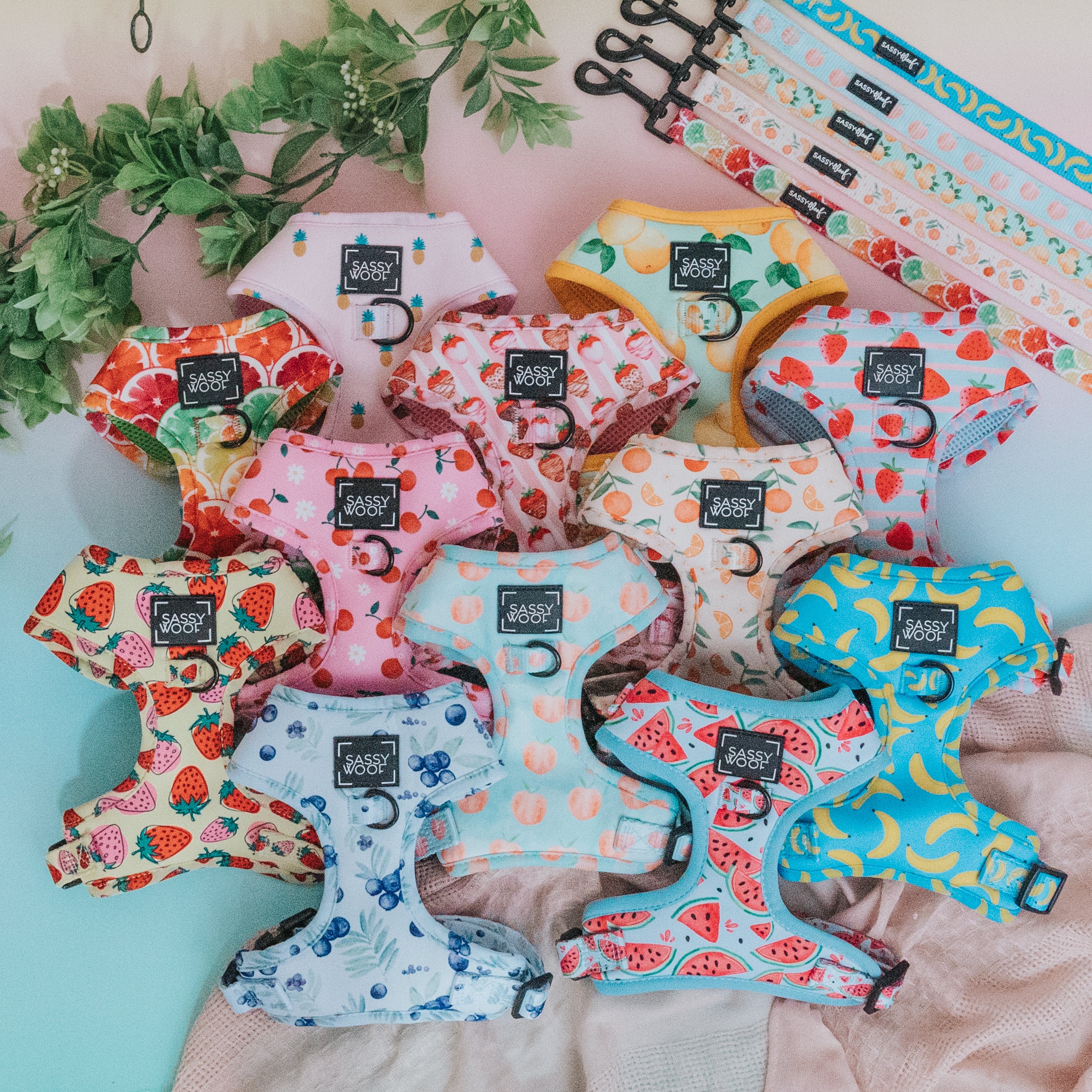 KEN™ - Dog Adjustable Harness | Sassy Woof Product