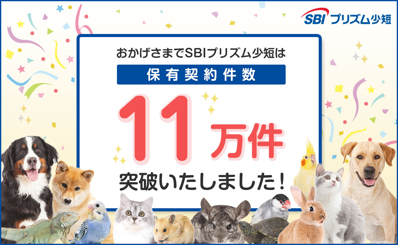 SBIプリズム少短、ペット保険保有契約件数が11万件を突破！ 〜保有契約