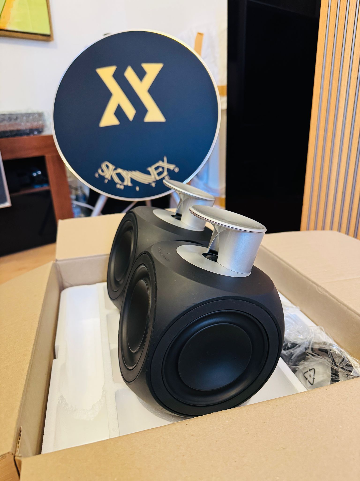 Bang & Olufsen BeoLab 3 Black | SkynnexAV