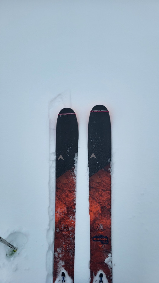 Pomoca Free Pro 2.0 Skins