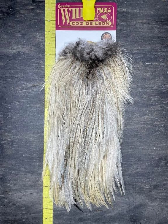 Whiting Coq De Leon Rooster Saddle for Sale | Slide Inn