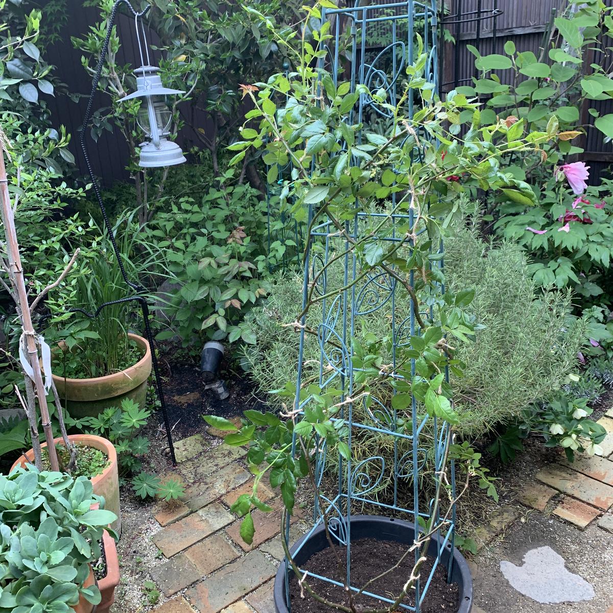 img_cache_d_1191260_1_17134094