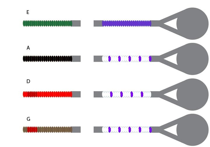 Pirastro Eudoxa Violin String Set - 4/4 size - Medium Gauge - Ball End