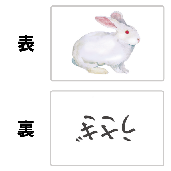 かな絵ちゃん日本語セット【フラッシュカード】 | 七田式公式通販