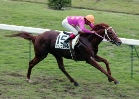 印刷用】競走馬、ミホノブルボンが死ぬ／ダービーなどG1レース3勝