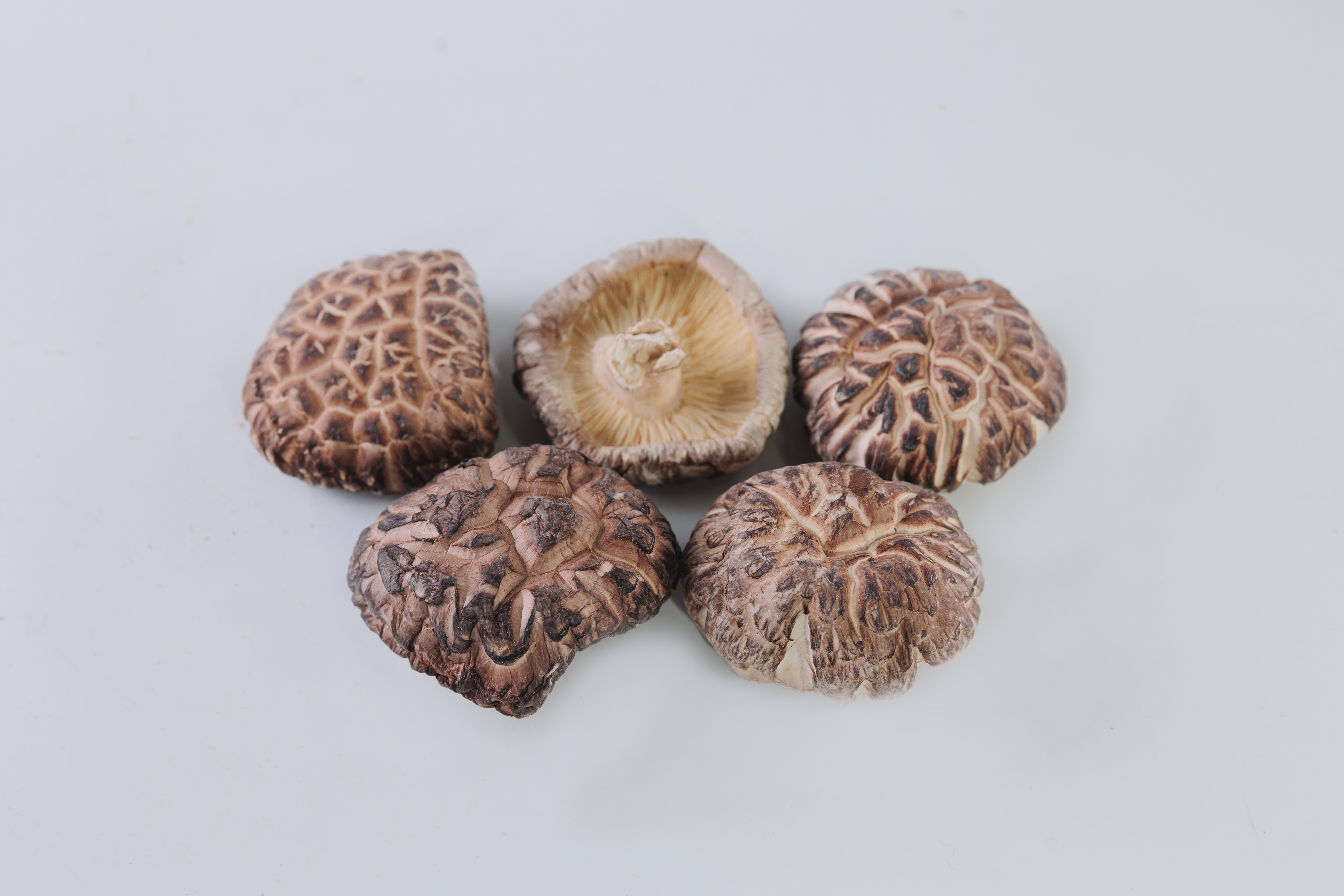 大分産しいたけ販売のやまよし / 粒選り冬菇進物箱入(150g)/大分県産