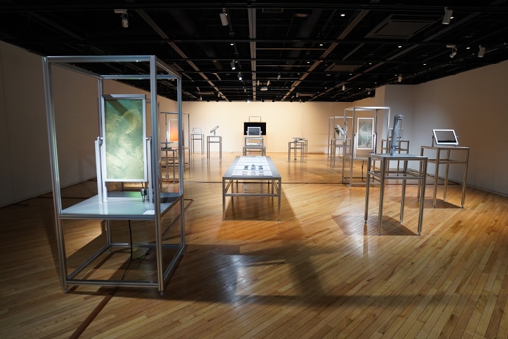 サイエンスアート「WONDER POWDER」東京・六本木で日本初展示