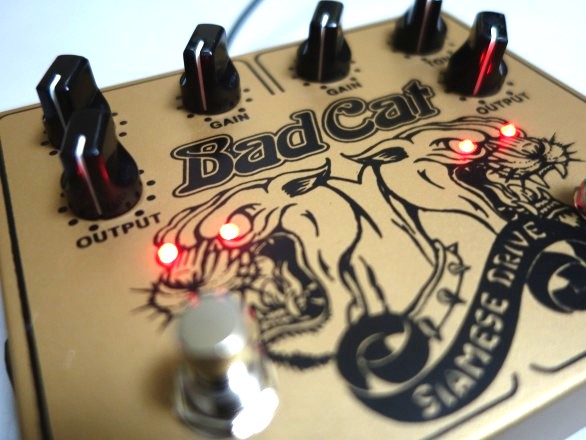 BAD CAT初のコンパクトエフェクターSiamese Driveのゴールドバージョン