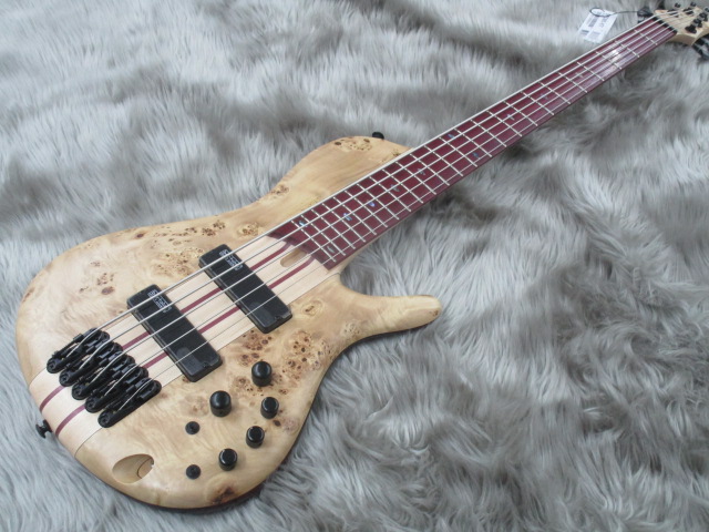 エレキベース】5弦ベース入荷！！｜島村楽器 イオンモール新利府 南館店