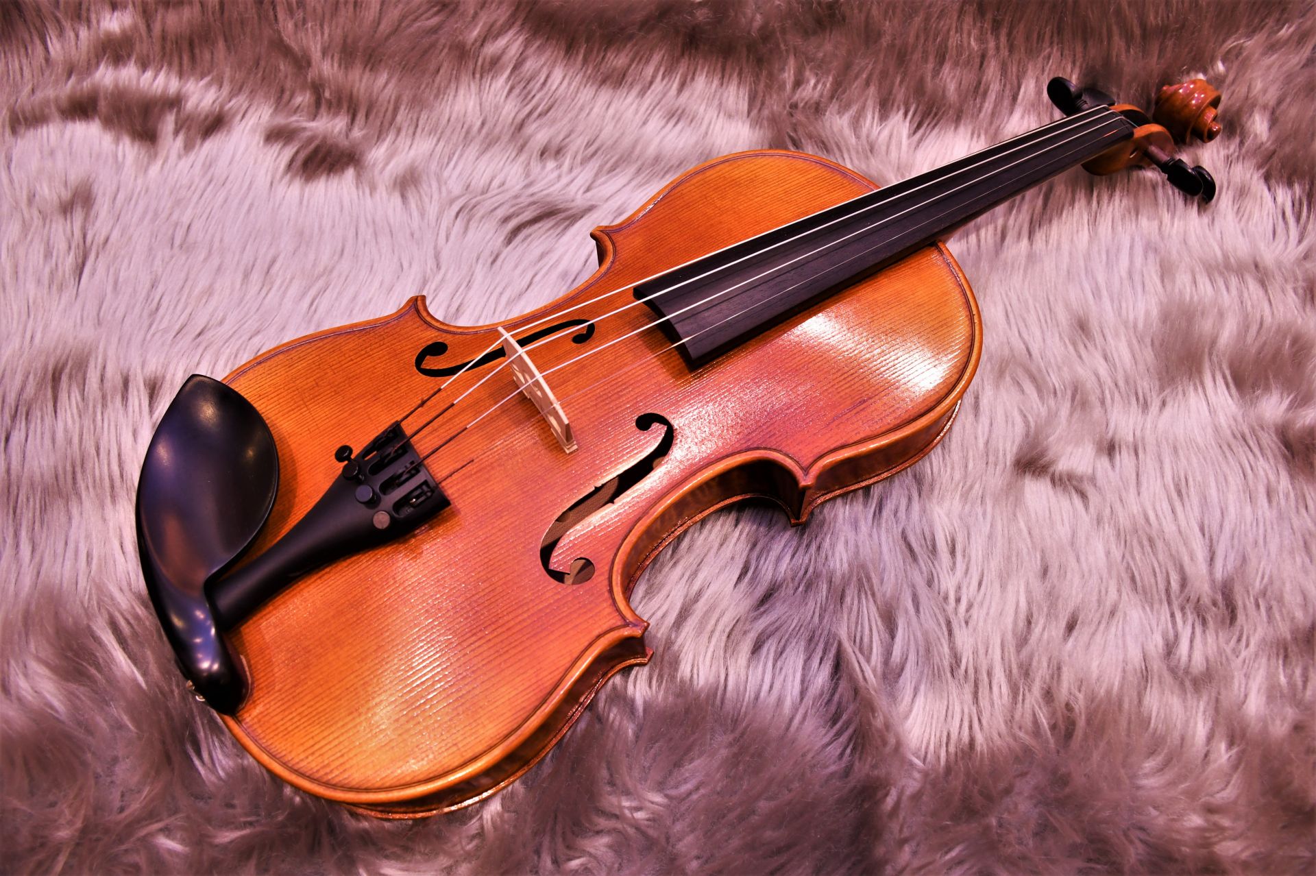 ヴァイオリン】マイスター茂木監修 ニコロサンティ / NSN60S｜島村楽器