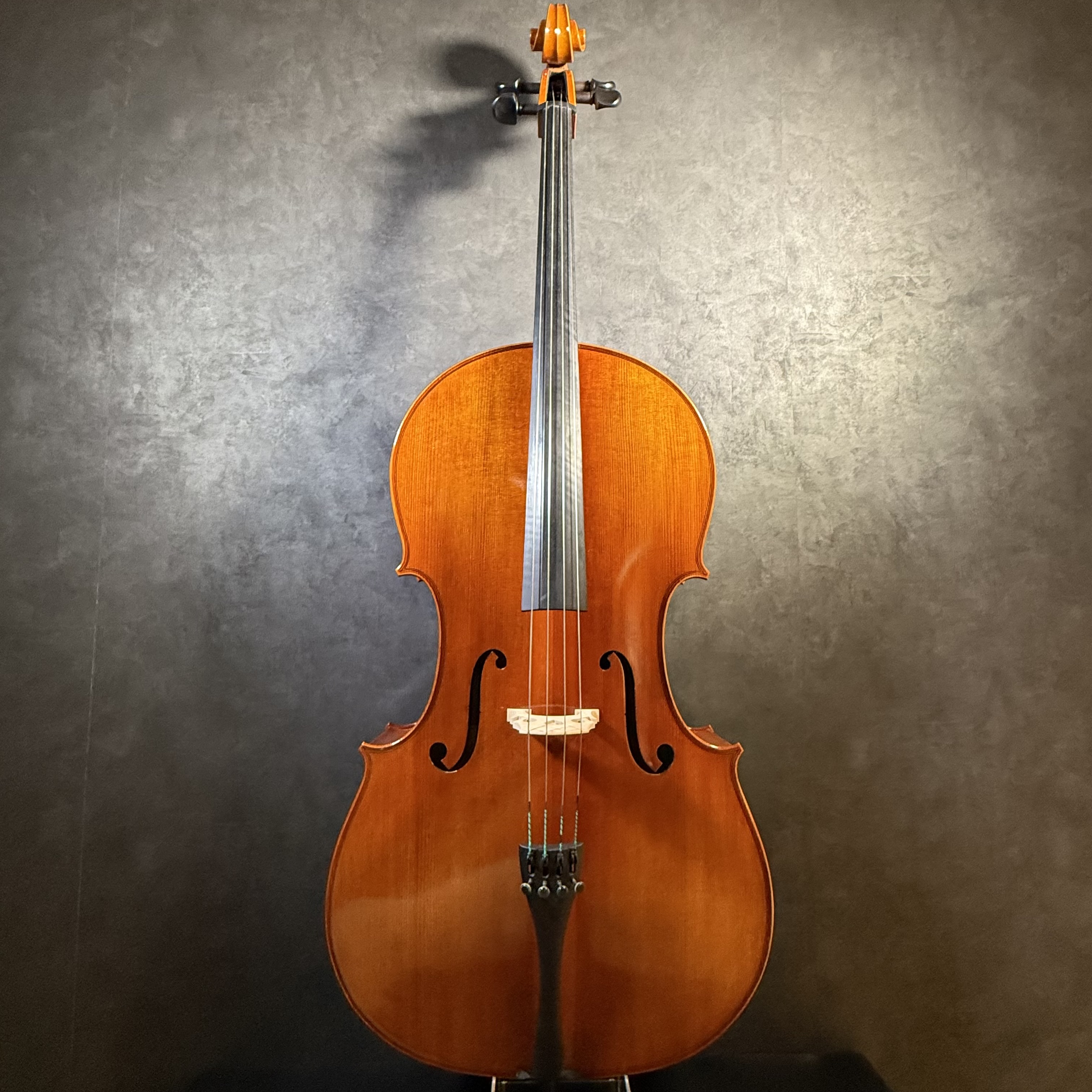 中古チェロ紹介】EASTMAN(イーストマン) VC100 4/4セット｜島村楽器