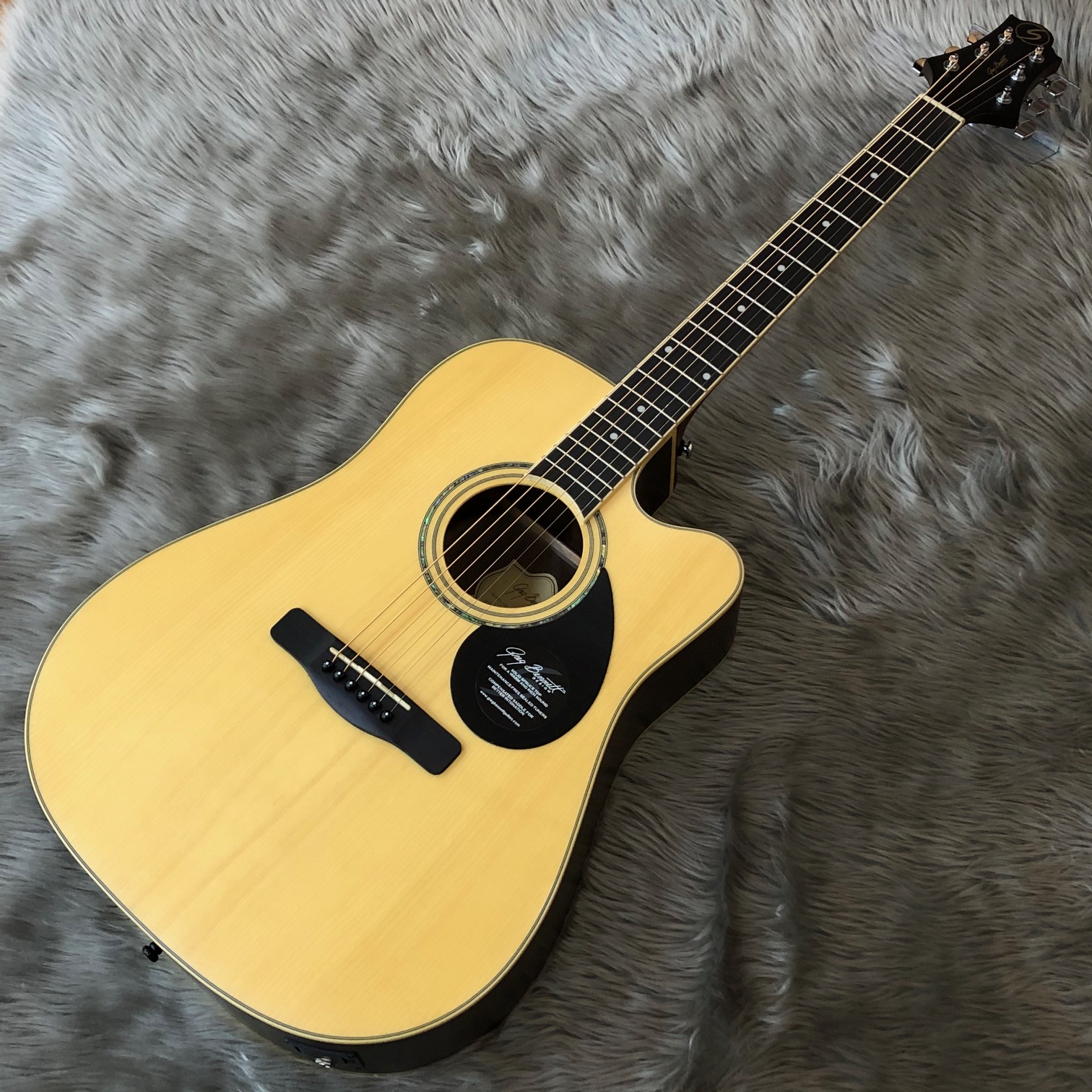 アコースティックギター】グレッグベネットギターズのエレアコ3機種が