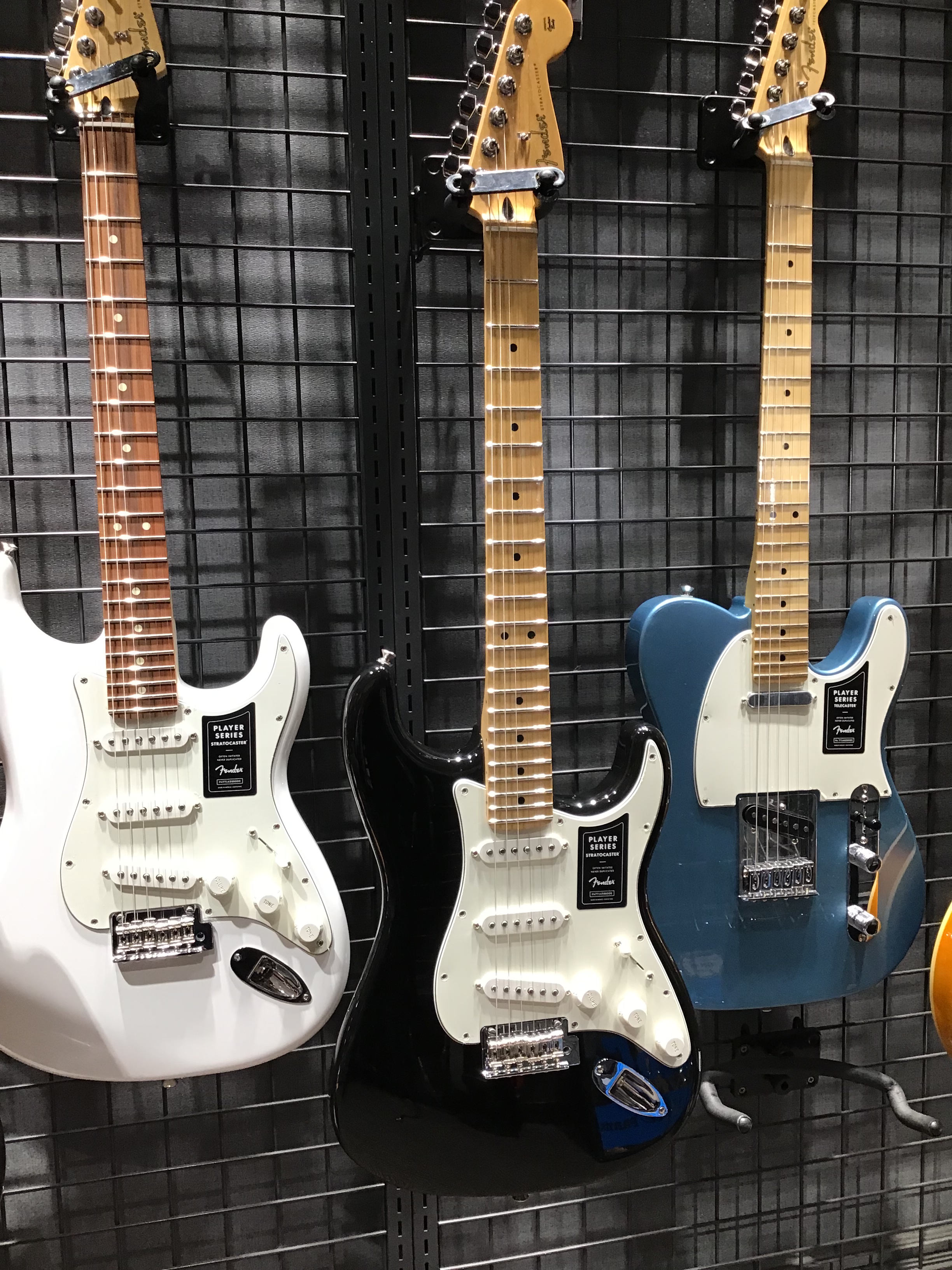 エレキギター】Fender Playerシリーズ展示中です！｜島村楽器 イオン