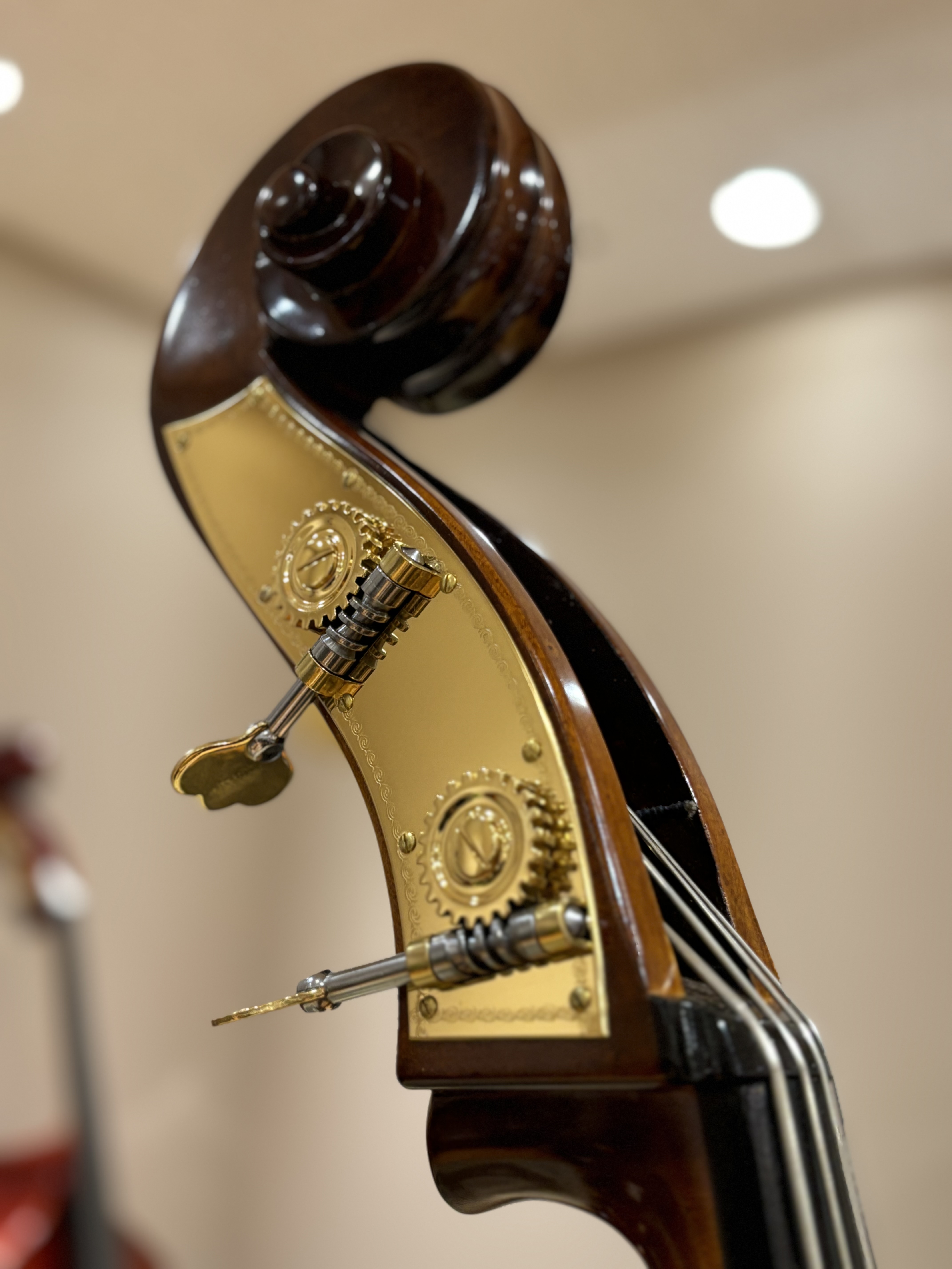 コントラバス】oriente（オリエンテ）HB-25｜島村楽器 グランフロント