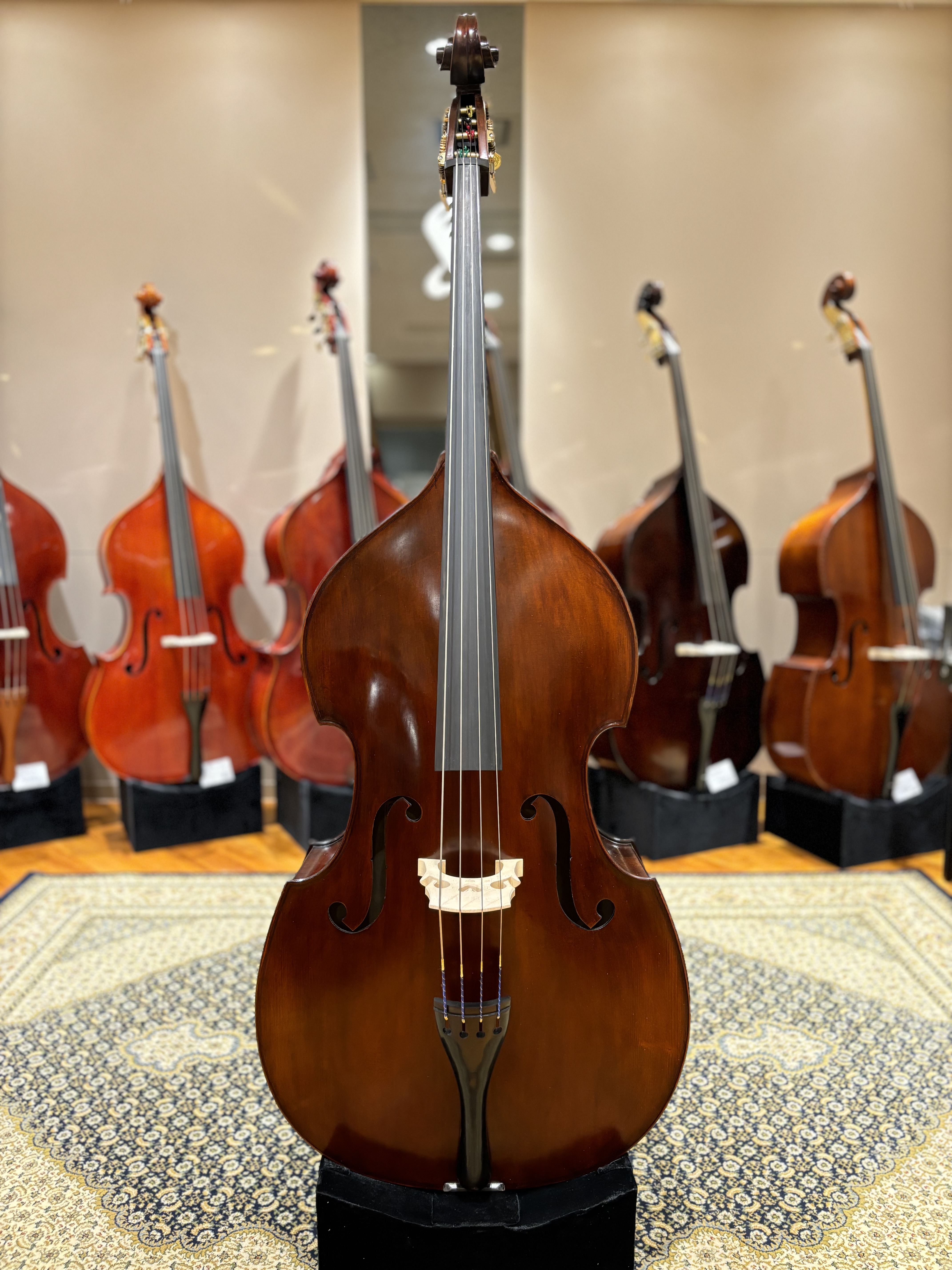 コントラバス】Eastman（イーストマン） VB105G｜島村楽器 グラン