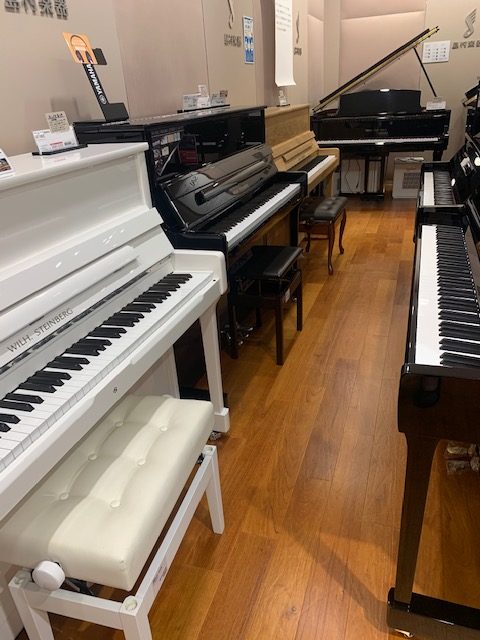 グランドピアノ・アップライトピアノ】WILH.STEINBERG｜島村楽器