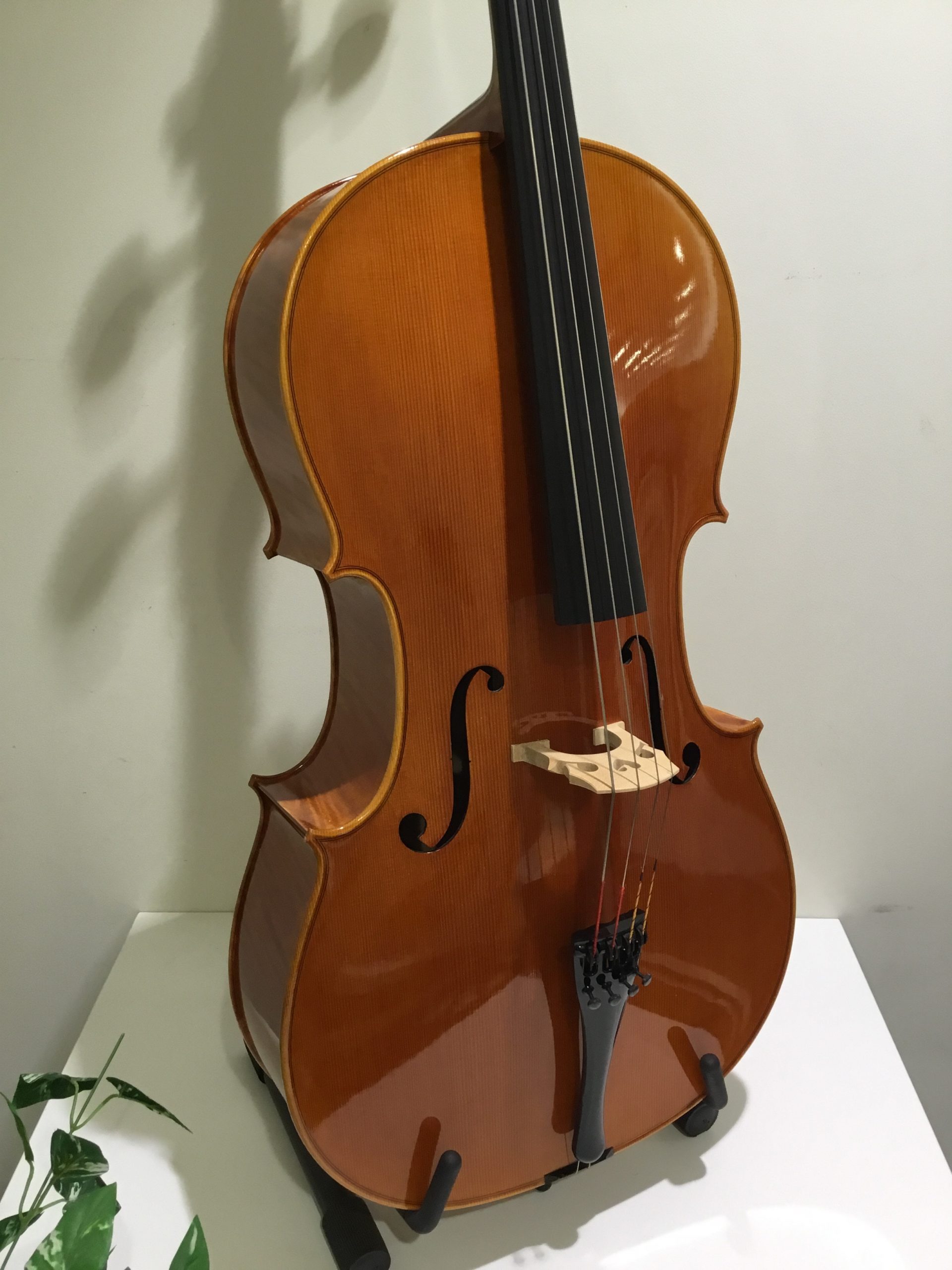 チェロ】中古チェロの入荷ご案内｜島村楽器 札幌クラシック店