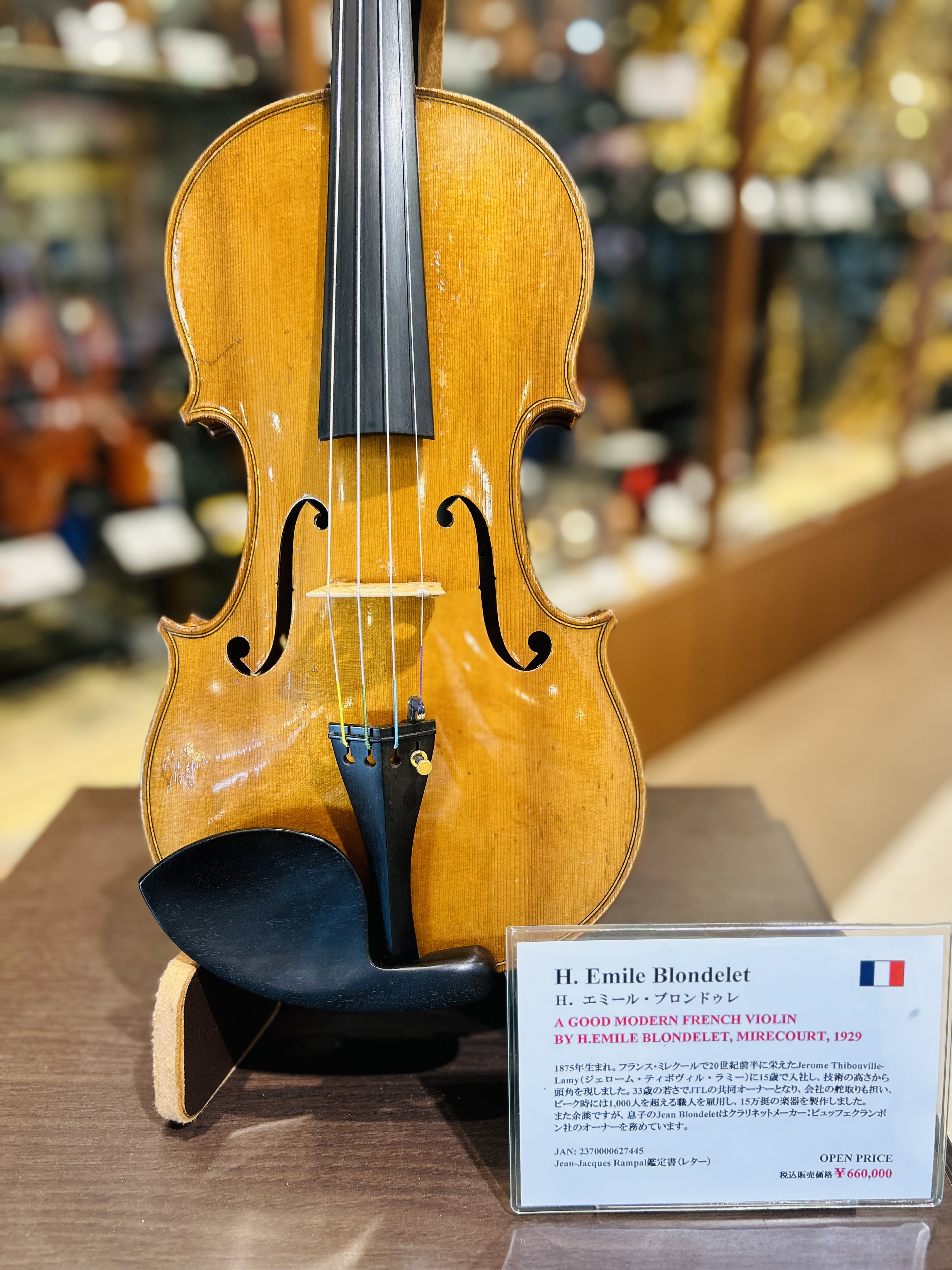 バイオリン展示作品のご紹介（2024.9月）｜島村楽器 札幌クラシック店