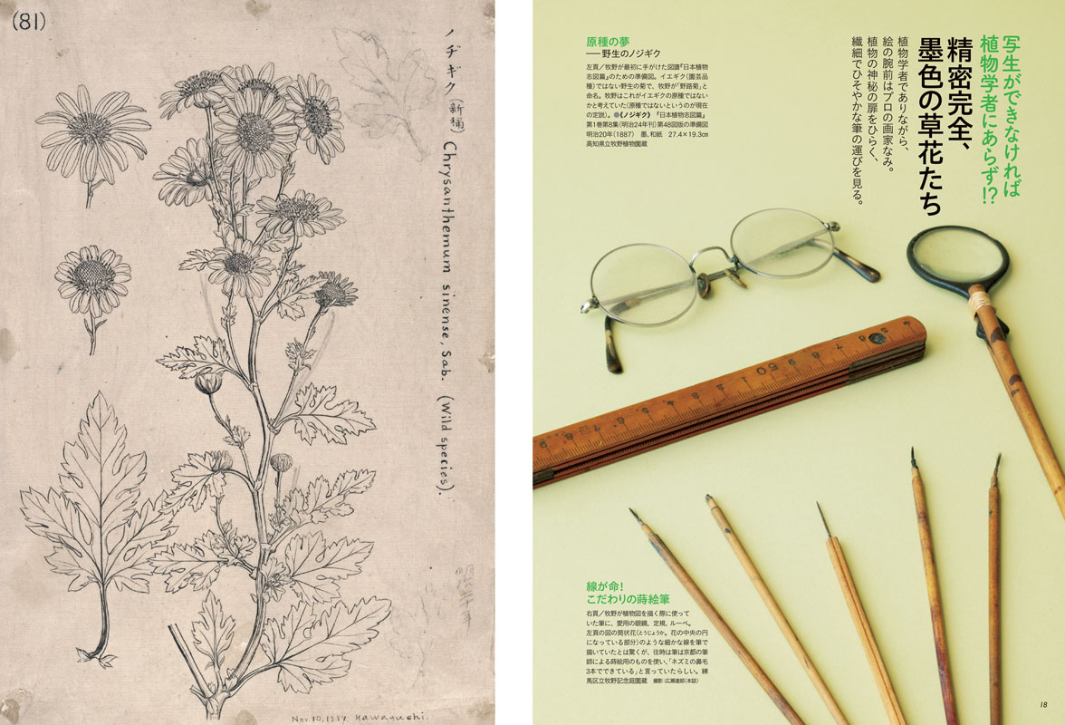特集】牧野富太郎 博士の愛したフローラ―芸術新潮 2023年7月号