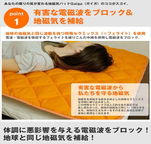 丸山修寛医師開発の地磁気パッド「Gaiga（ガイガ）」の販売【信州健康