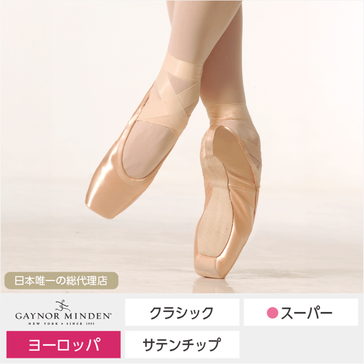 ゲイナーミンデン | バレエ用品やレオタードならシルビアのオンライン