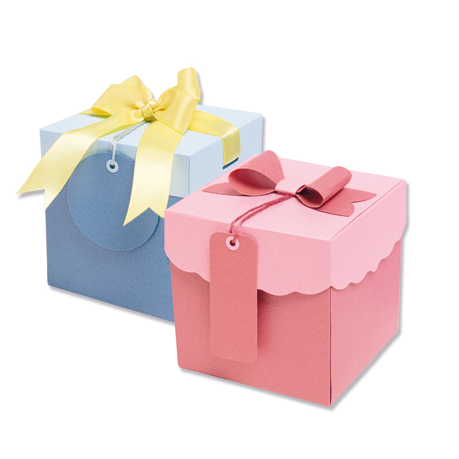 Sizzix Thinlits Plus Die Set 12PK - Classic Box – Sizzix.com