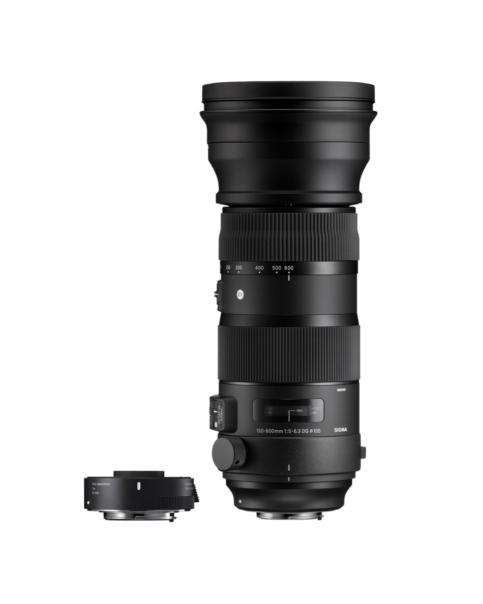 SIGMA 150-600mm Sports + TC-1401 1.4x Teleconverter | SIGMA