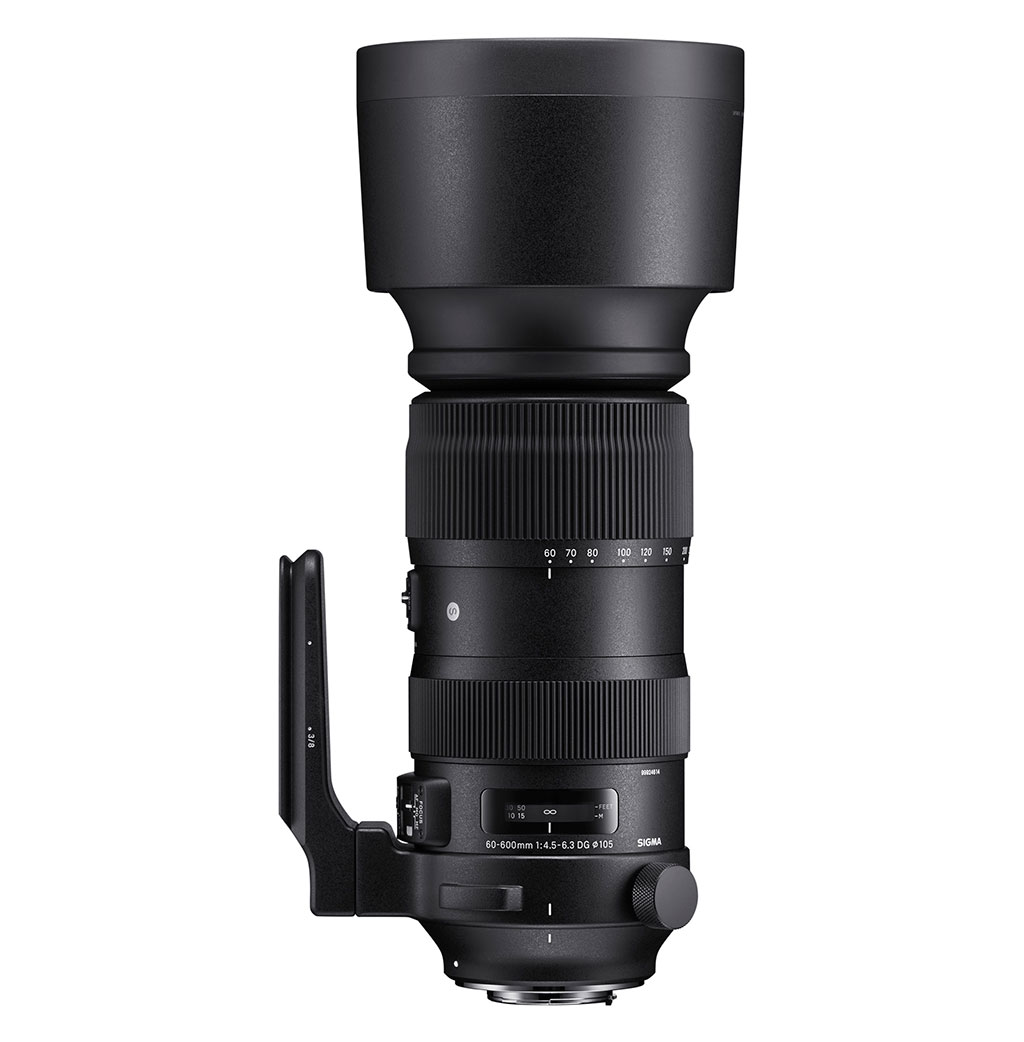SIGMA 60-600mm F4.5-6.3 DG OS HSM | Sports | SIGMA Corporation of