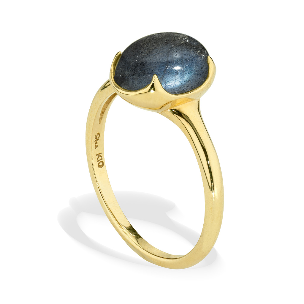 COLOR CALYX RING(ラブラドライト)(2JR0611)K10YG リング｜スター