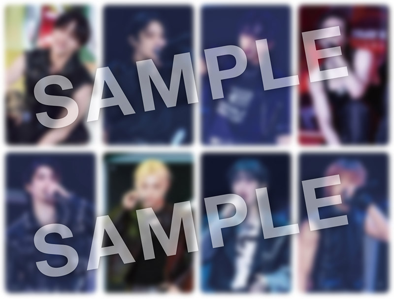 straykids SKZ TOYWORLD 封入 24種 HMV特典8種 straykids SKZ TOYWORLD