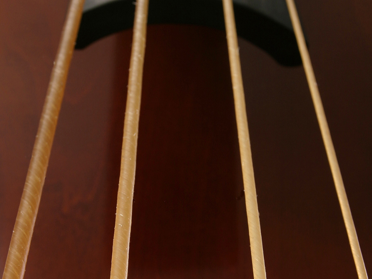 GOLDEN GUT King strings ガット弦（EADG / 4本セット） | STREAMLINE