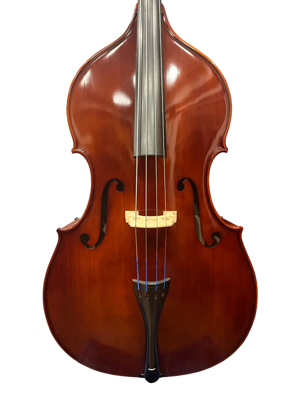 Oriente | 幅広い層からの人気を誇る国産コントラバスブランド | 鈴木