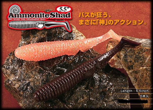 LURE SHOP SUBMARINE / ジャッカル アンモナイトシャッド(5.5インチ)