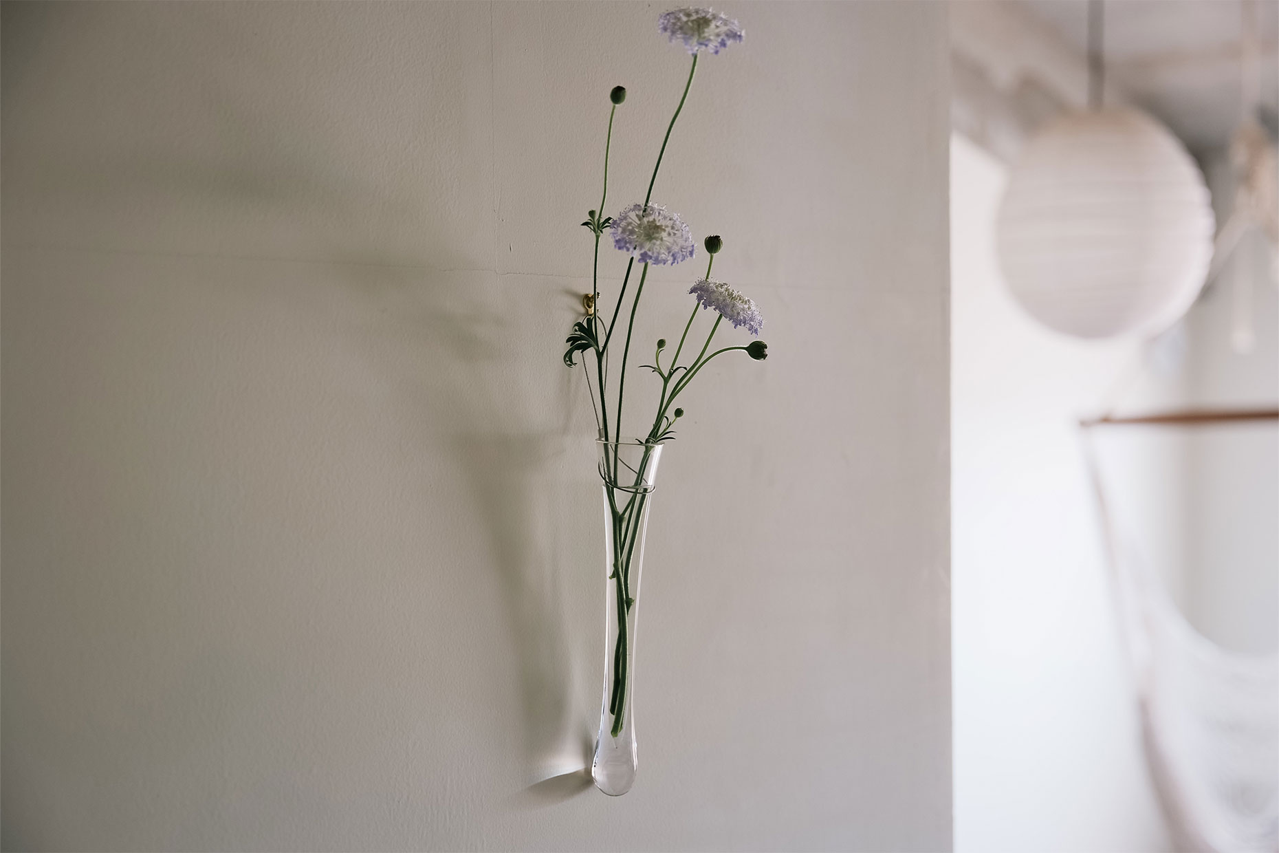 壁掛け：フラワーベース | 花器 | Sghr