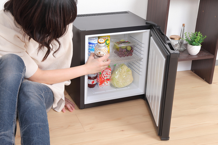 生産終了品】 ペルチェ式 20リットル 1ドア電子冷蔵庫 SR-R2001 | SunRuck