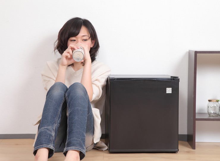 生産終了品】 ペルチェ式 20リットル 1ドア電子冷蔵庫 SR-R2002 | SunRuck