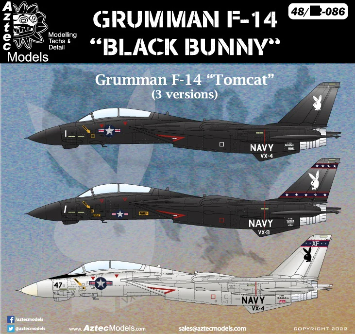 Grumman F-14 - 'Black Bunny' Aztec -48D086